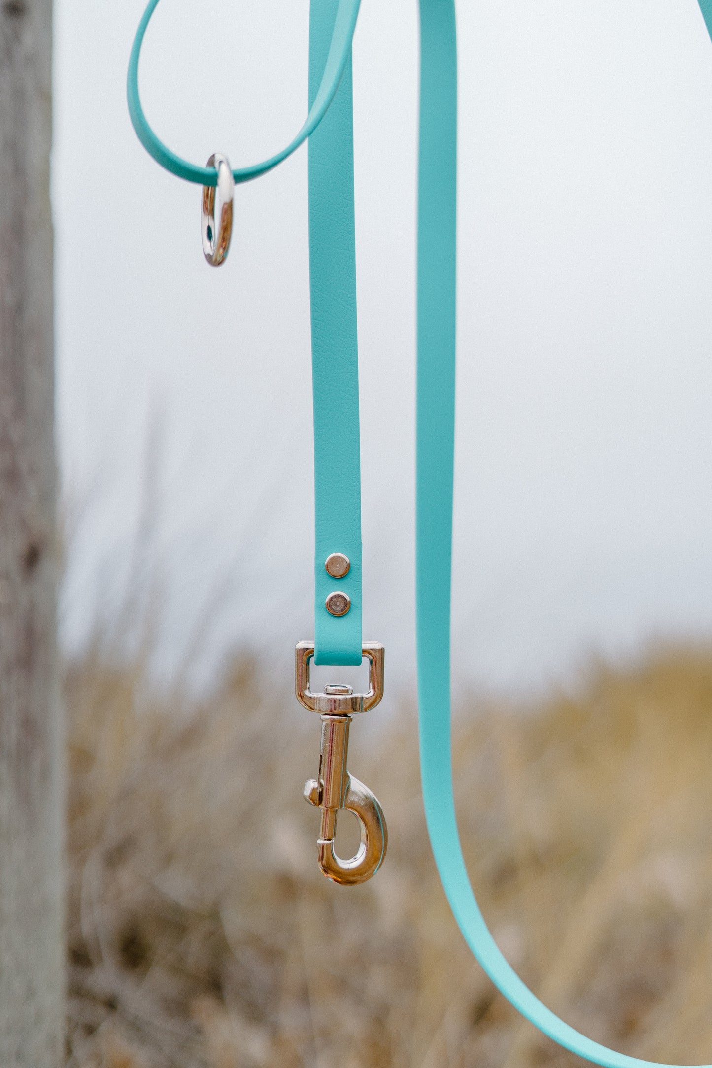 Blue52H Standard Leash