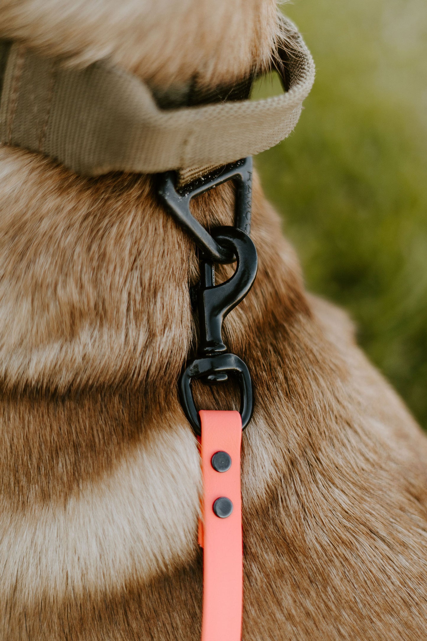 Pink Coral524 with black hardware